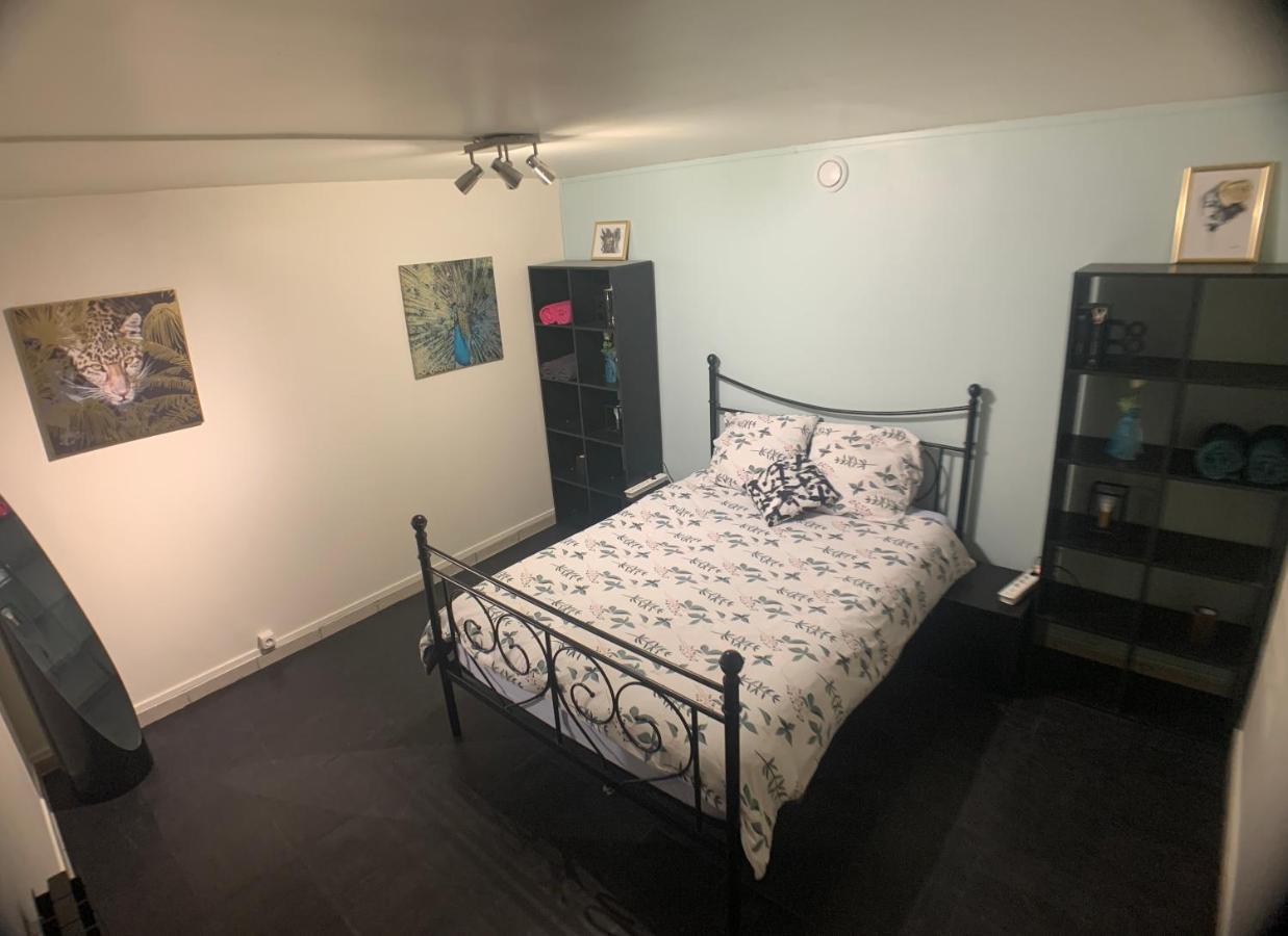 Appartement Cosy Proche Roissy Cdg Asterix Disneyland Paris Goussainville  Bagian luar foto