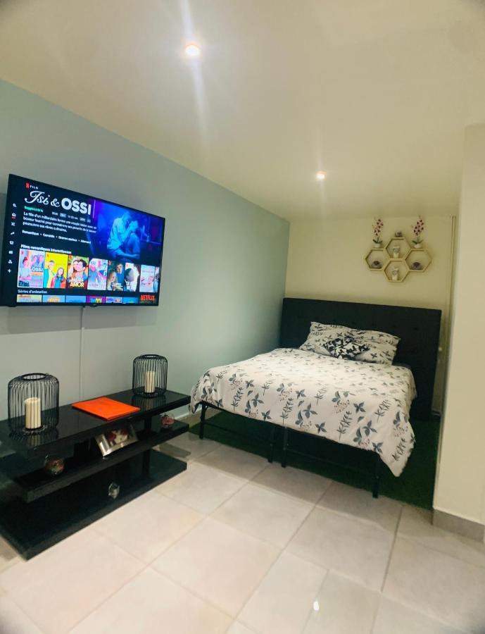 Appartement Cosy Proche Roissy Cdg Asterix Disneyland Paris Goussainville  Bagian luar foto